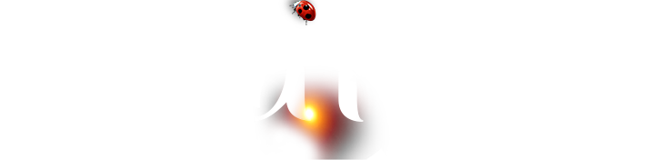 bevictor伟德官网-韦德官方网站