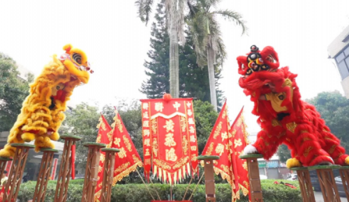 龙腾狮跃，共铸鲜丽将来！